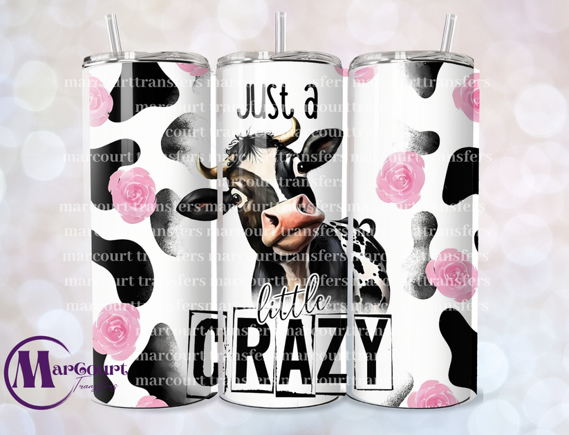 Just A Little Crazy Tumbler