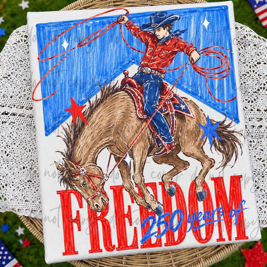 250 Years Of Freedom Cowboy