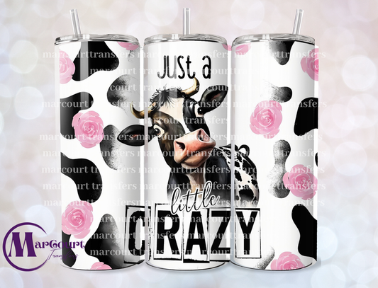 Just A Little Crazy Tumbler